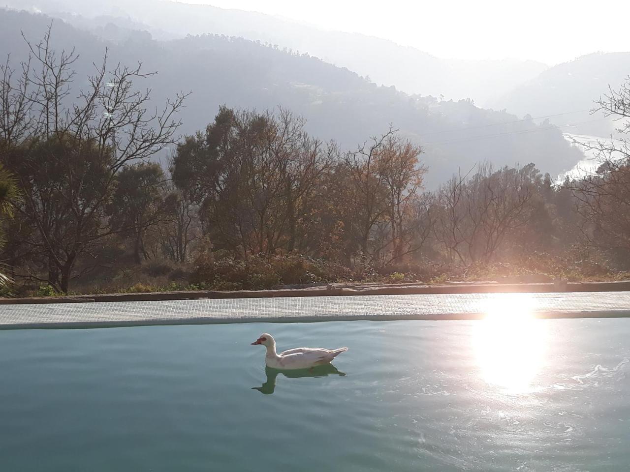 Quinta De Aguia - Non-Smoking Property Hotel São Lourenço do Douro Buitenkant foto